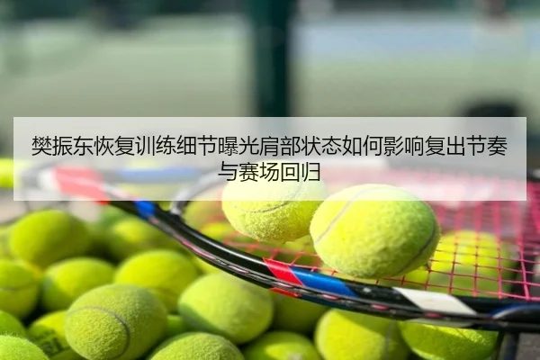 樊振东恢复训练细节曝光肩部状态如何影响复出节奏与赛场回归